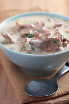 Chanterelle mushrooms cream soup