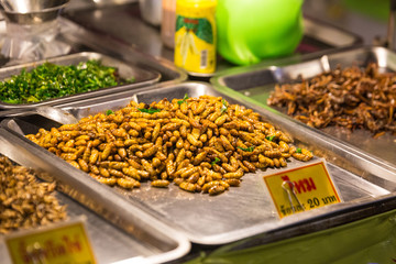 Thailand trip October