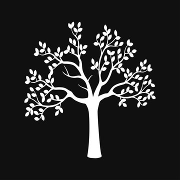  White wood silhouette against a black background. Tree icon Vector illustration