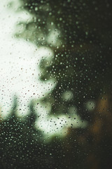 droplets on car window forest