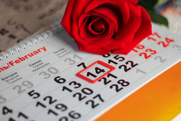 red rose lay on the calendar with the date of February 14 Valentine's day