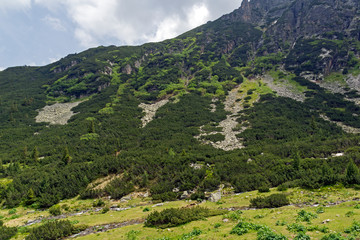 Fototapeta premium Summer landscape of Malyoviska river Valley, Rila Mountain, Bulgaria