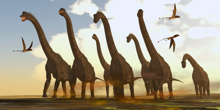 Brachiosaurus Dinosaurs on Trek -Dimorphodon reptiles fly past a herd of Brachiosaurus dinosaurs during the Jurassic Period. 