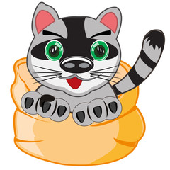 Cartoon pets animal cat in bag.Vector illustration