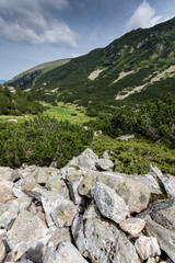 Fototapeta na wymiar Summer landscape of Malyoviska river Valley, Rila Mountain, Bulgaria