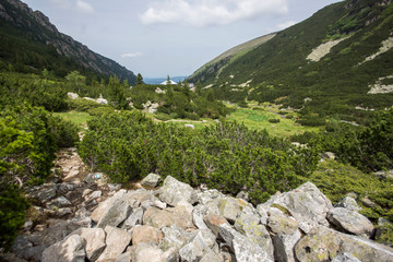 Summer landscape of Malyoviska river Valley, Rila Mountain, Bulgaria