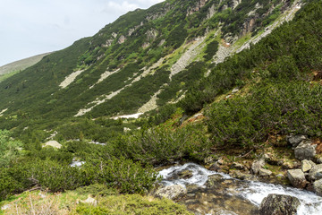 Fototapeta na wymiar Summer landscape of Malyoviska river Valley, Rila Mountain, Bulgaria