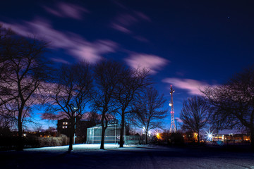Winter sunset in the park