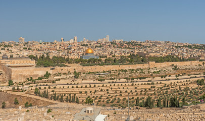Fototapeta na wymiar Jerusalem Viewded from the Garden on Gethsemane