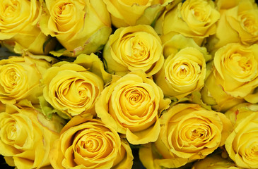 Obraz na płótnie Canvas Fresh yellow roses bouquet flower background 