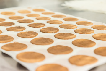 biscotti tegole in fila
