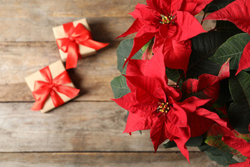 Poinsettia (traditional Christmas flower) with gift boxes on wooden table, top view