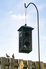 Single metal bird feeder hanging on shepherds hook with wooden fence and blue skies in background.