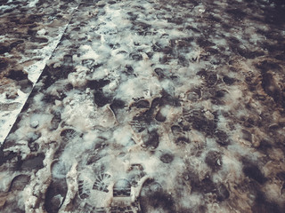 Traces of shoes in the snow. The beginning of winter in Bakuriani