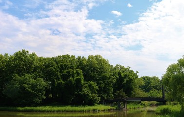 空　新緑　風景　茨城