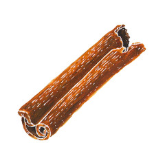 Cinnamon stick isolated on white. Watercolor art