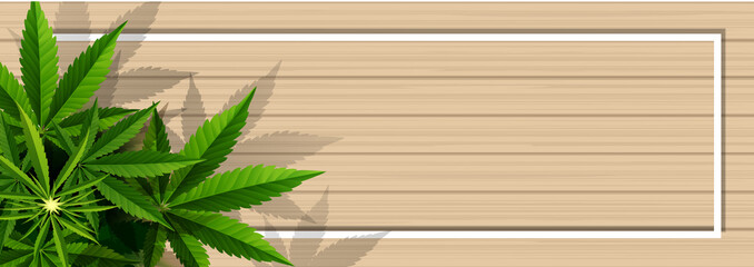 Marijuana plant and cannabis on wood floor vector.