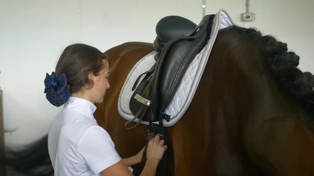 CLOSE UP: Focused young woman fastening the girth on her horse before their first dressage competition together. Excited Caucasian girl in formal clothes getting her brown mare ready in the stable.
