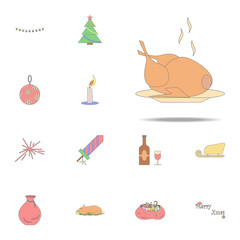 Christmas turkey colored icon. Christmas holiday icons universal set for web and mobile