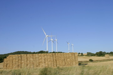 Obanos. Puente la Reina. Navarra. Spain