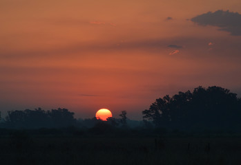 Atardecer en el campo