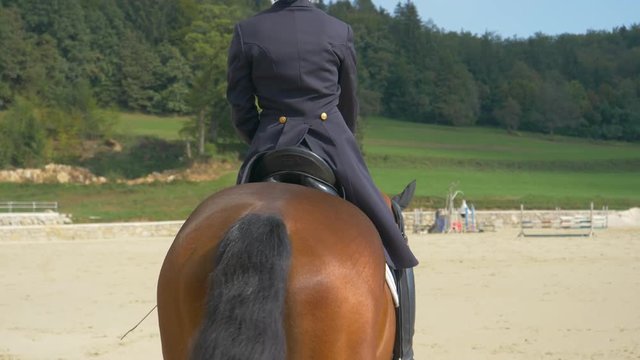 SLOW MOTION, CLOSE UP: Cheerful girl wearing formal clothes sits in saddle before dressage training. Young Caucasian woman wearing a blue frock saddles up her beautiful chestnut stallion on sunny day.