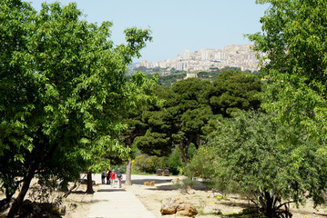 Sicily.Bright sunny day in the valley near the city of Agrigento.