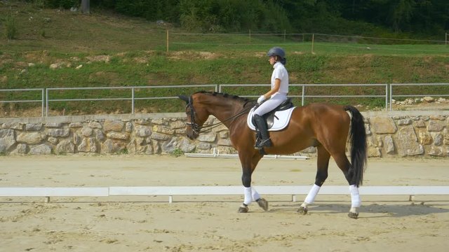 SLOW MOTION: Young Caucasian woman in formal wear warming up her stallion for dressage competition. Girl riding her beautiful chestnut horse around the sandy arena. Girl horseback riding in manege.