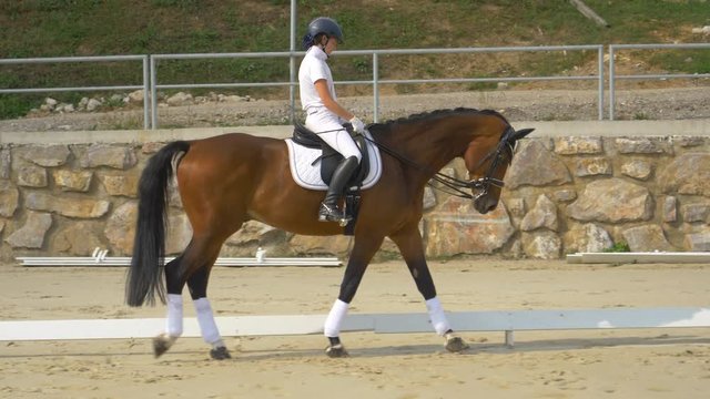 SLOW MOTION: Girl in formal clothes walking her brown horse around the manege before dressage competition. Young Caucasian woman performing flatwork in the arena with her stallion during an exhibition
