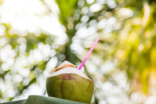 Coconut water on the beach, placed on a banana leaf, with a blurred coconut tree in the background. Is a green bokehsoft focus.
