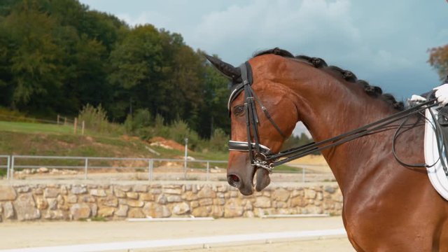 SUPER SLOW MOTION, CLOSE UP: Young Caucasian woman cantering on a brown gelding during a dressage competition. English rider in a blue frock gallops on her beautiful horse during dressage exhibition.