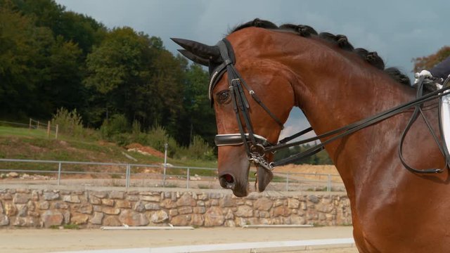 SUPER SLOW MOTION, CLOSE UP: Unrecognizable woman in blue frock cantering around the sandy arena. Girl horseback riding her stunning stallion during a dressage competition. Chestnut horse galloping.