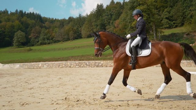 SUPER SLOW MOTION: Young English rider trotting on horseback around the manege on a sunny day in the countryside. Girl training with her beautiful brown stallion for their first dressage competition.