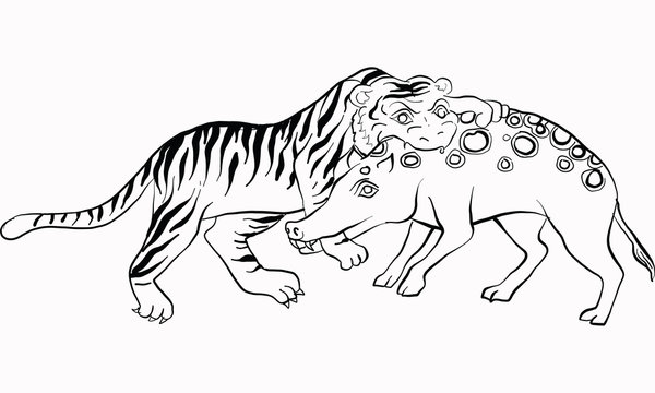 tiger fight with pig, Thai traditional painting, vector