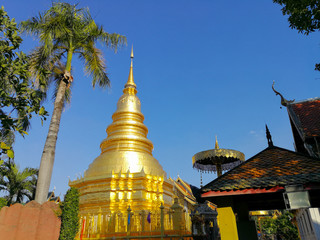 Naklejka premium palm tree, Golden pagoda and the golden umbrella with blue sky background.