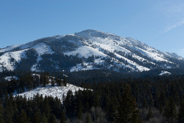 Scout Mountain Idaho 