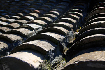 Chinese traditional style tiles architecture
