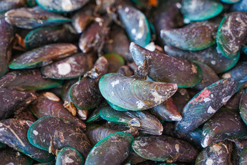 fresh mussel from seafood store