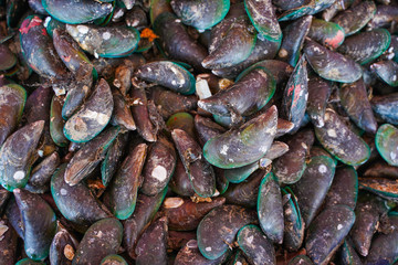 fresh mussel from seafood store