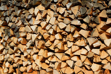 Dry branches piled up together