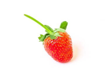 fresh red strawberry isolated on white background and clipping path