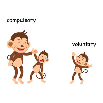Opposite compulsory and voluntary vector illustration
