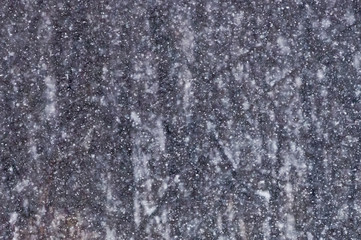 Snowy forest background 