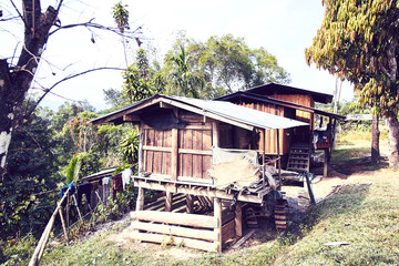 local houses in chiang mai forest, provence thailand