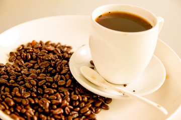 Coffee Beans