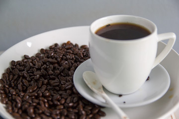 Coffee Beans