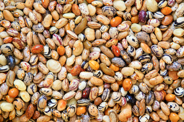 Tinea kidney bean pea