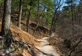 Dirt path through the woods on a Spring morning.  Starved Rock State Park, Illinois, U.S.A.