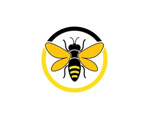 honey Bee Logo Template vector icon illustration
