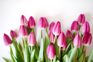 Fresh Pink tulips. A bouquet of spring flowers